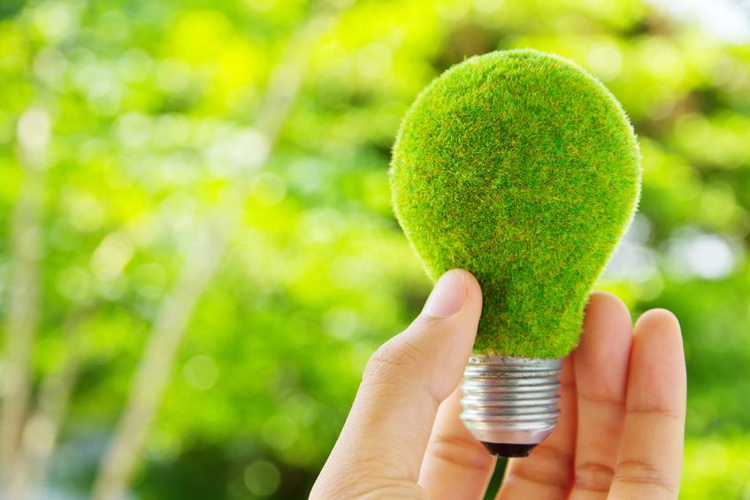 Green Light Bulb Go Green Energy Efficient | Atlanta Skylights